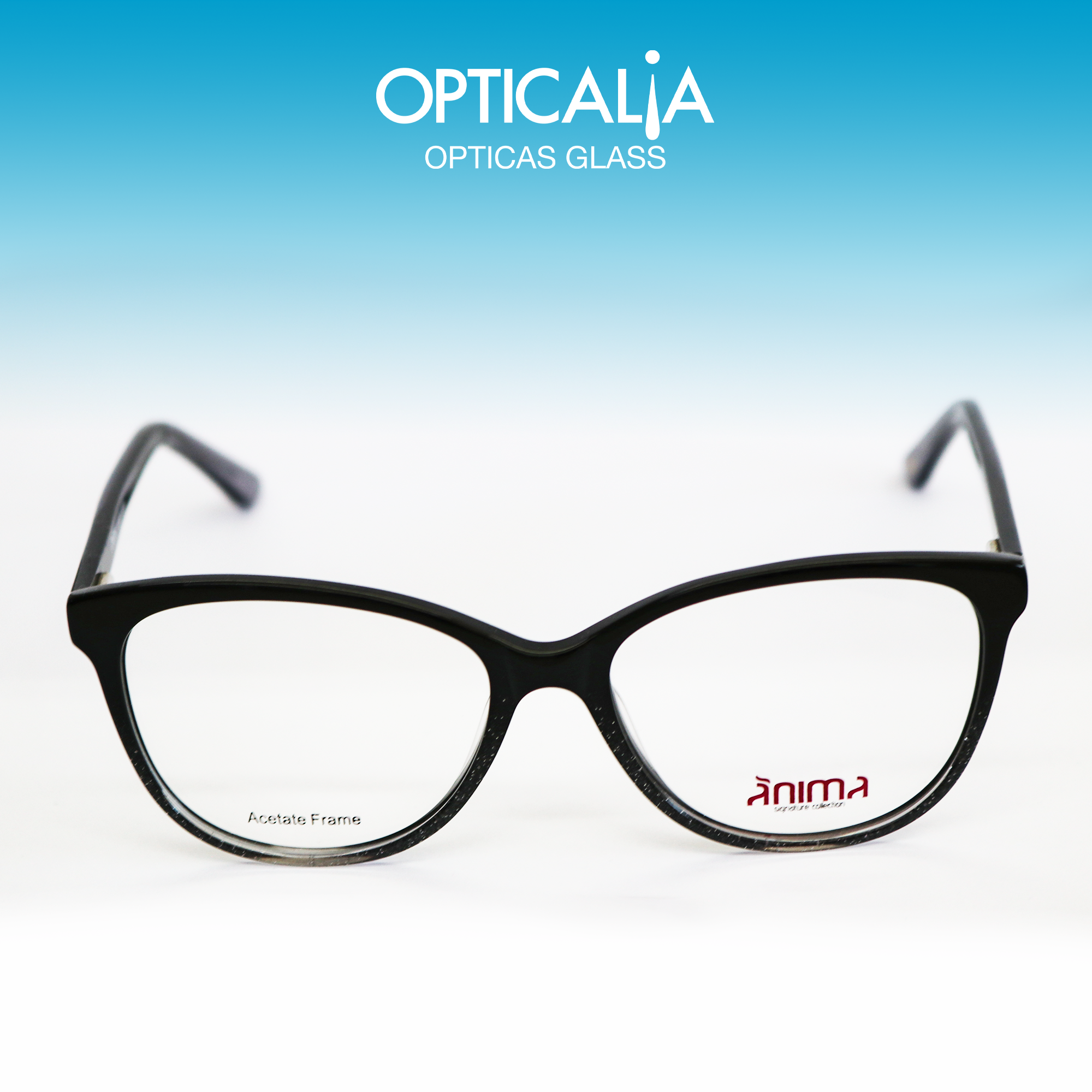 opcion-12